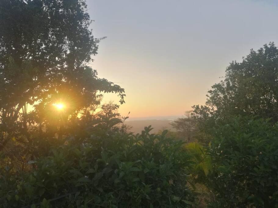 Hospedaje Valencia Osa, Cr Potrero  المظهر الخارجي الصورة