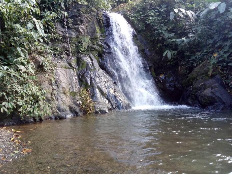 Hospedaje Valencia Osa, Cr Potrero  المظهر الخارجي الصورة