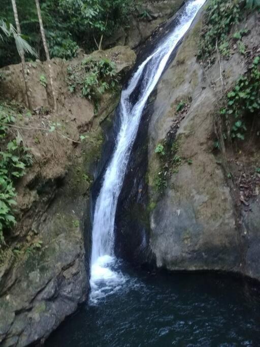 Hospedaje Valencia Osa, Cr Potrero  المظهر الخارجي الصورة