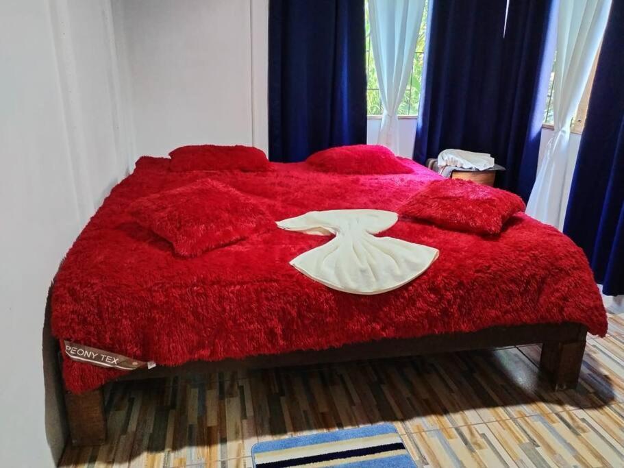 Hospedaje Valencia Osa, Cr Potrero  المظهر الخارجي الصورة