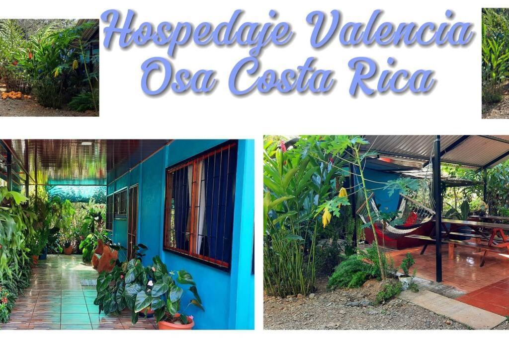 Hospedaje Valencia Osa, Cr Potrero  المظهر الخارجي الصورة