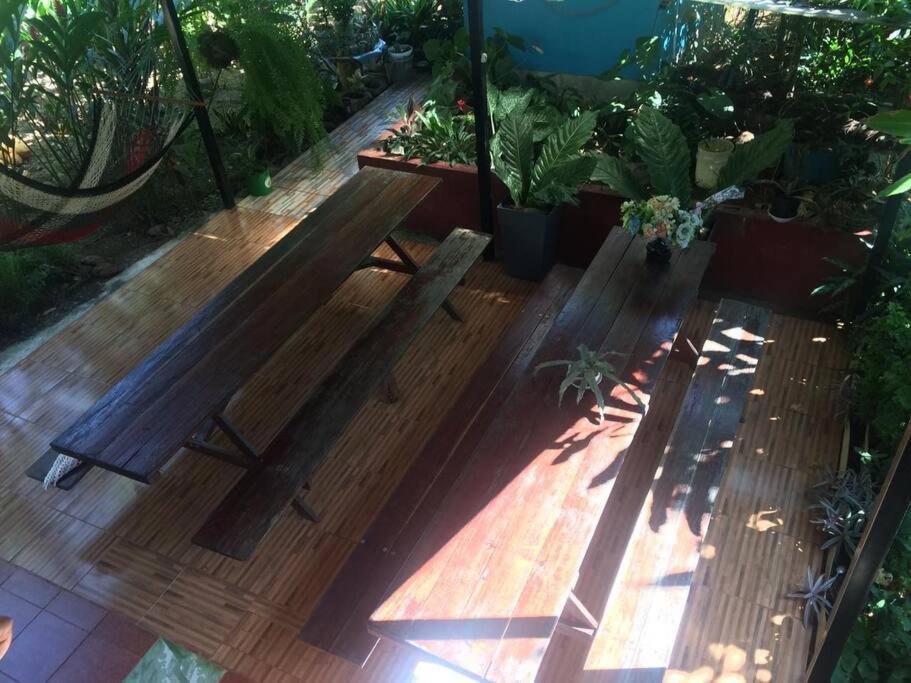 Hospedaje Valencia Osa, Cr Potrero  المظهر الخارجي الصورة