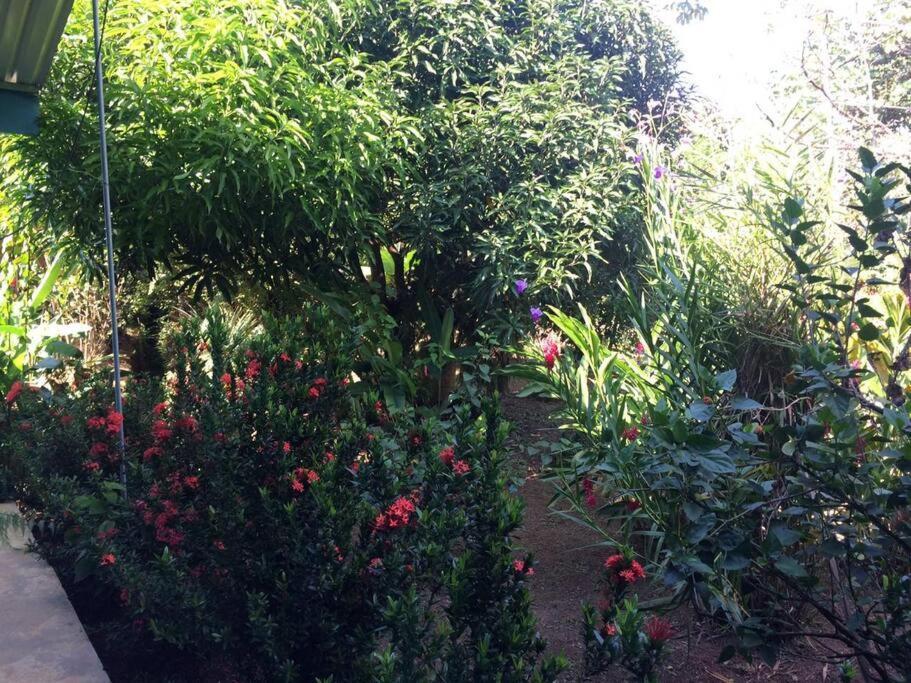 Hospedaje Valencia Osa, Cr Potrero  المظهر الخارجي الصورة