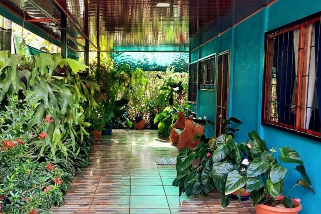 Hospedaje Valencia Osa, Cr Potrero  المظهر الخارجي الصورة