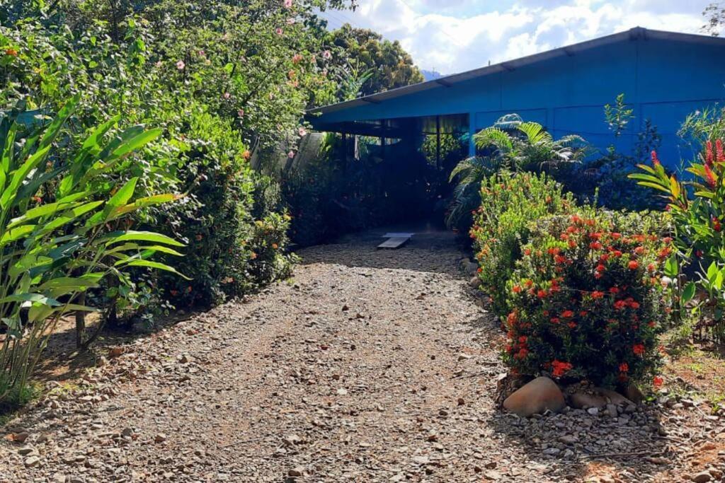 Hospedaje Valencia Osa, Cr Potrero  المظهر الخارجي الصورة