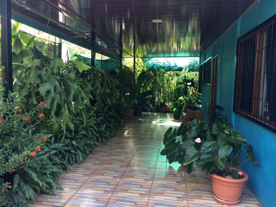 Hospedaje Valencia Osa, Cr Potrero  المظهر الخارجي الصورة