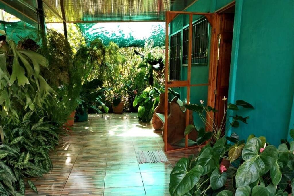 Hospedaje Valencia Osa, Cr Potrero  المظهر الخارجي الصورة